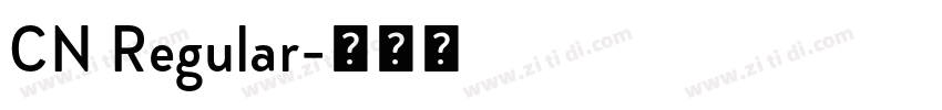 CN Regular字体转换